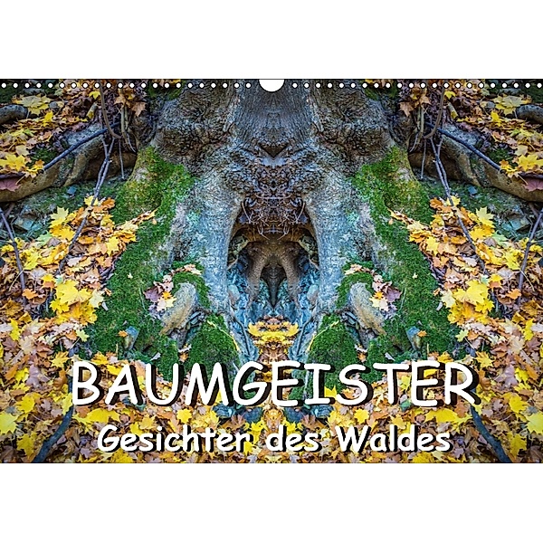 Baumgeister, Gesichter des Waldes (Wandkalender 2018 DIN A3 quer), Jürgen Döring