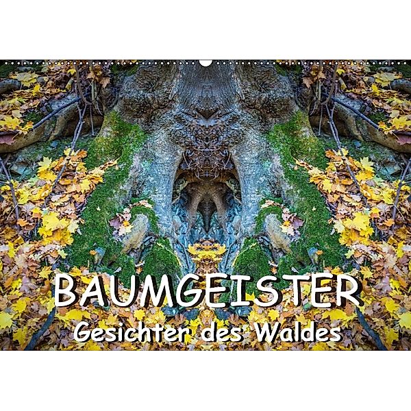 Baumgeister, Gesichter des Waldes (Wandkalender 2018 DIN A2 quer), Jürgen Döring