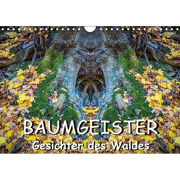Baumgeister, Gesichter des Waldes (Wandkalender 2018 DIN A4 quer), Jürgen Döring