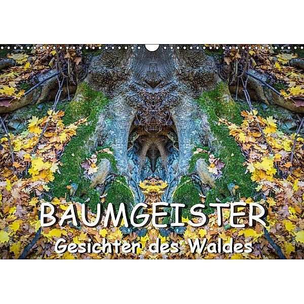 Baumgeister, Gesichter des Waldes (Wandkalender 2019 DIN A3 quer), Jürgen Döring