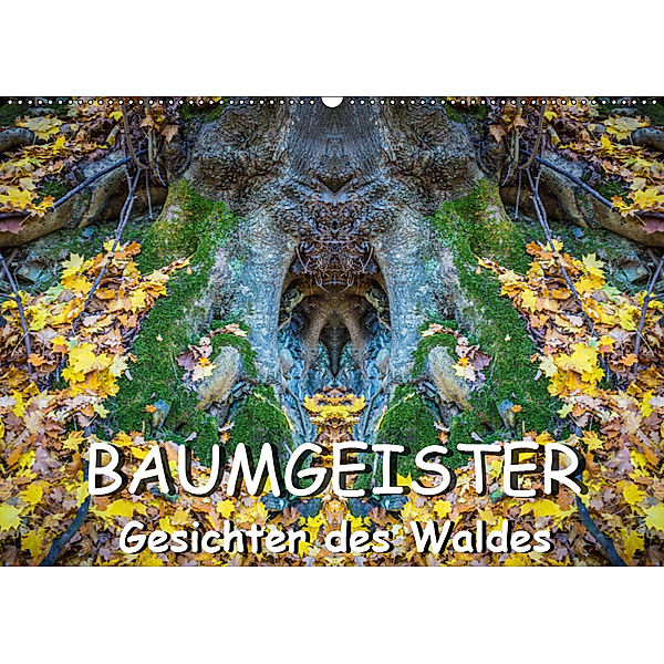 Baumgeister, Gesichter des Waldes (Wandkalender 2019 DIN A2 quer), Jürgen Döring