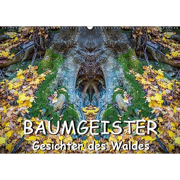 Baumgeister, Gesichter des Waldes (Wandkalender 2020 DIN A2 quer), Jürgen Döring