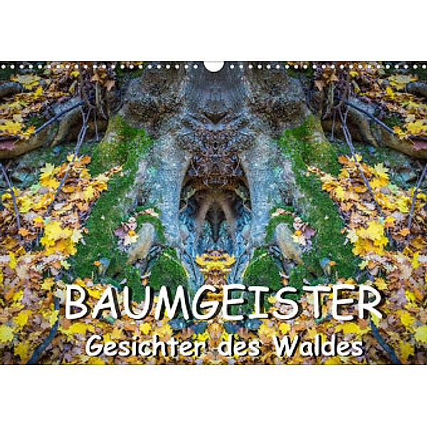 Baumgeister, Gesichter des Waldes (Wandkalender 2022 DIN A3 quer), Jürgen Döring