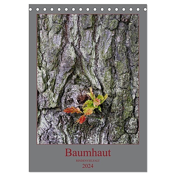 Baumhaut (Tischkalender 2024 DIN A5 hoch), CALVENDO Monatskalender, Clemens Stenner