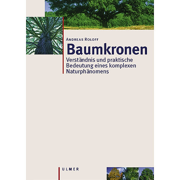 Baumkronen, Andreas Roloff