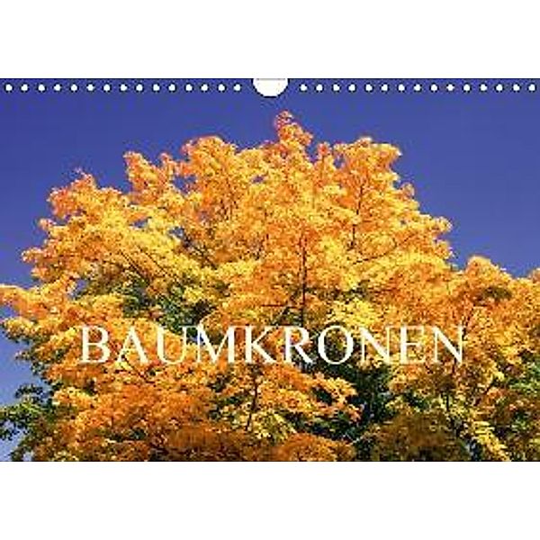 Baumkronen (Wandkalender 2015 DIN A4 quer), Thomas Jäger