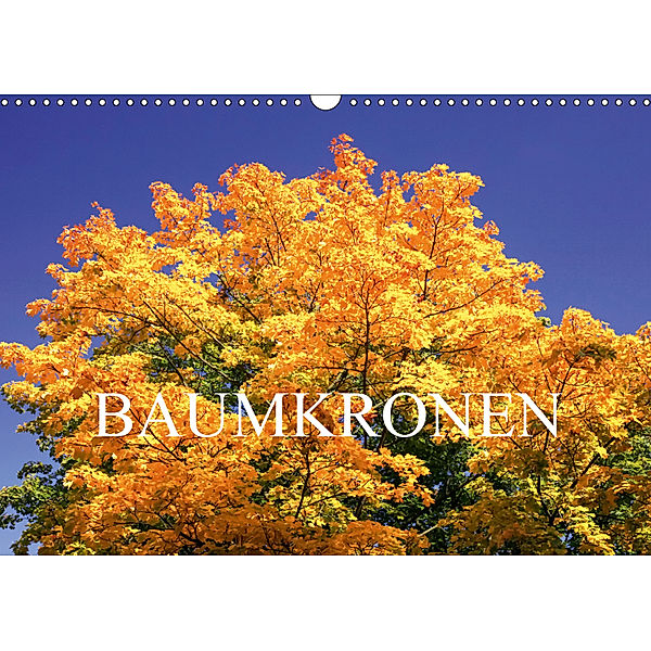 Baumkronen (Wandkalender 2019 DIN A3 quer), Thomas Jäger