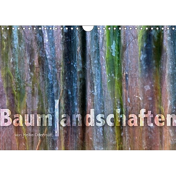 Baumlandschaften 2018 (Wandkalender 2018 DIN A4 quer), Heike Odermatt