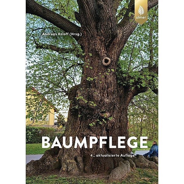 Baumpflege, Andreas Roloff