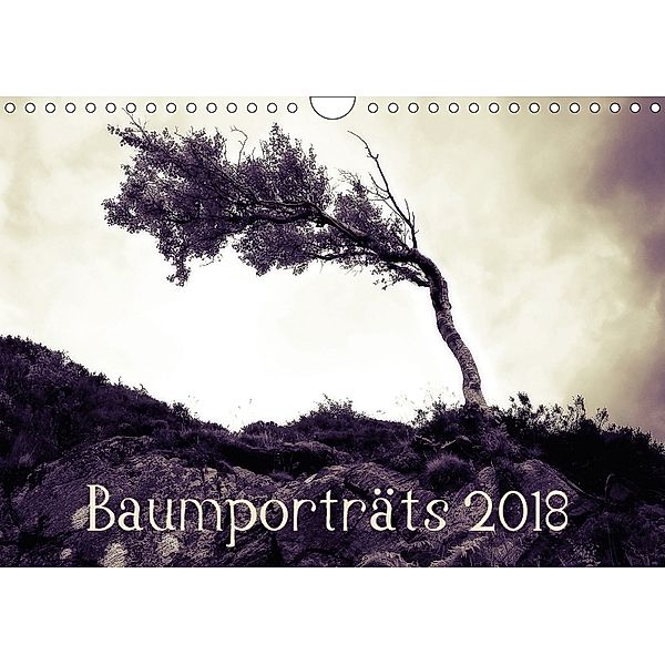 Baumporträts 2018 (Wandkalender 2018 DIN A4 quer), Katja Jentschura