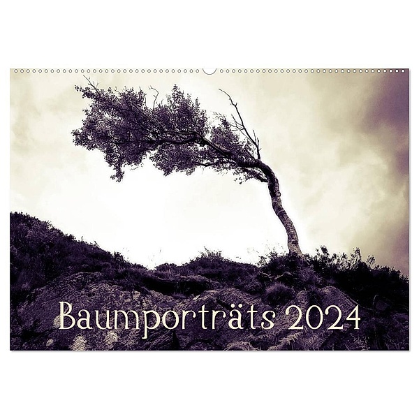 Baumporträts 2024 (Wandkalender 2024 DIN A2 quer), CALVENDO Monatskalender, Katja Jentschura