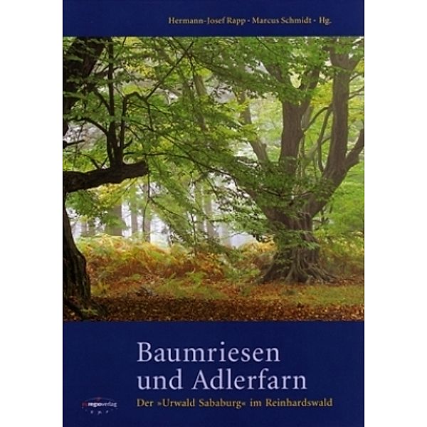 Baumriesen und Adlerfarn