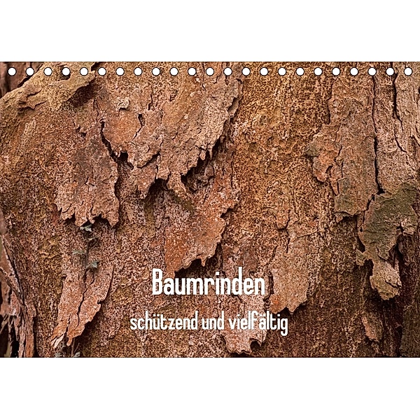Baumrinden - schützend und vielfältig (Tischkalender 2018 DIN A5 quer), Anneli Hegerfeld-Reckert