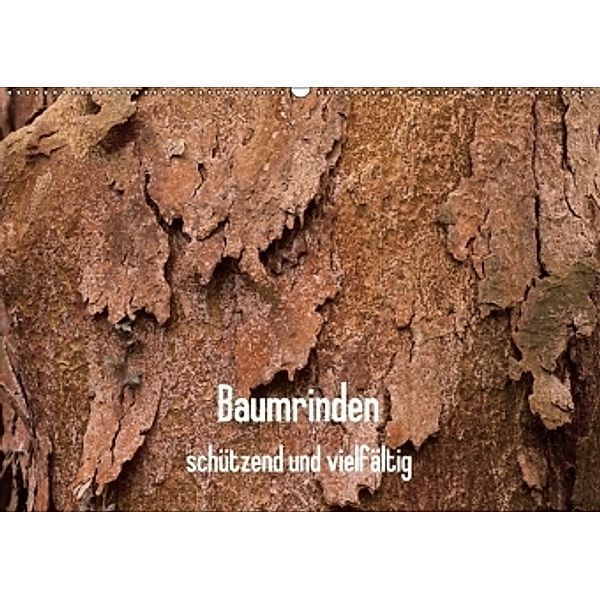 Baumrinden - schützend und vielfältig (Wandkalender 2017 DIN A2 quer), Anneli Hegerfeld-Reckert