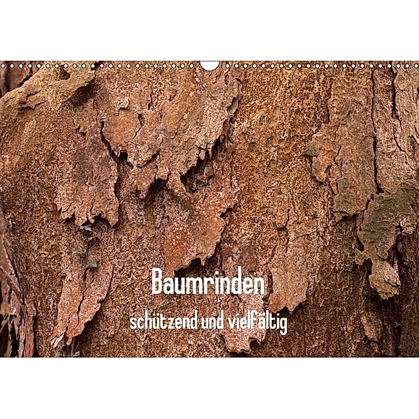 Baumrinden - schützend und vielfältig (Wandkalender 2018 DIN A3 quer), Anneli Hegerfeld-Reckert