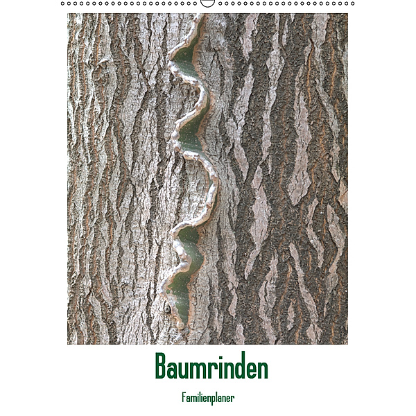 Baumrinden (Wandkalender 2019 DIN A2 hoch), Anneli Hegerfeld-Reckert