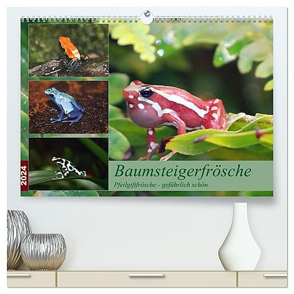 Baumsteigerfrösche. Pfeilgiftfrösche - gefährlich schön (hochwertiger Premium Wandkalender 2024 DIN A2 quer), Kunstdruck in Hochglanz, B. Mielewczyk