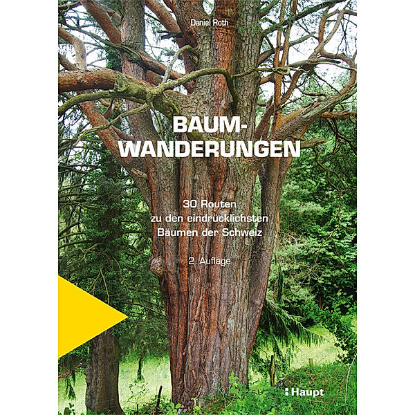 Baumwanderungen, Daniel Roth