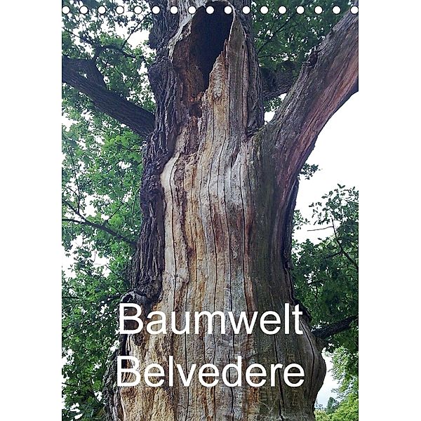 Baumwelt Belvedere (Tischkalender 2018 DIN A5 hoch), Bernd Hufeld