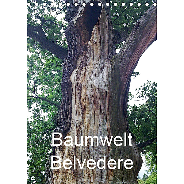 Baumwelt Belvedere (Tischkalender 2020 DIN A5 hoch), Bernd Hufeld