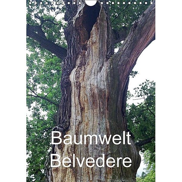 Baumwelt Belvedere (Wandkalender 2017 DIN A4 hoch), Bernd Hufeld