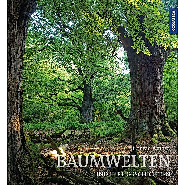 Baumwelten, Conrad Amber