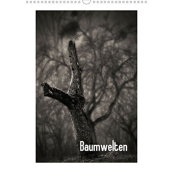 Baumwelten (Wandkalender 2014 DIN A4 hoch), Ilona Peter