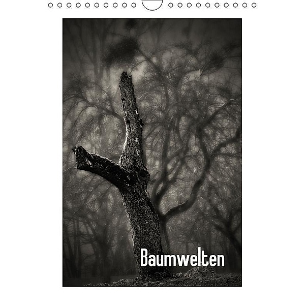 Baumwelten (Wandkalender 2017 DIN A4 hoch), Ilona Peter
