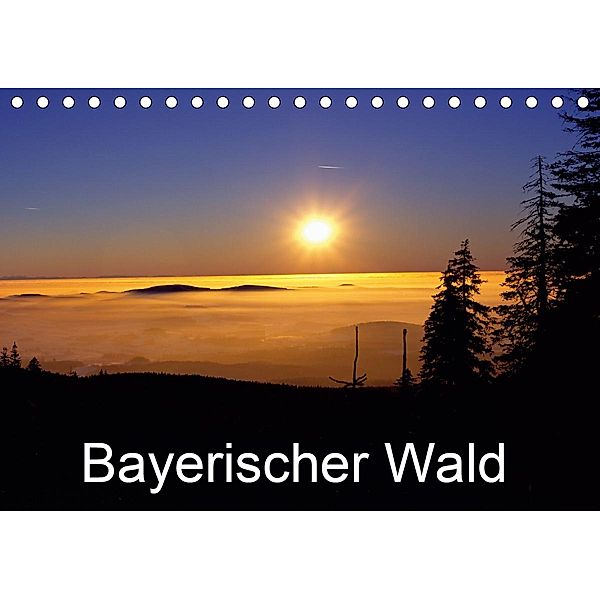 Bayerischer Wald (Tischkalender 2021 DIN A5 quer), Willy Matheisl