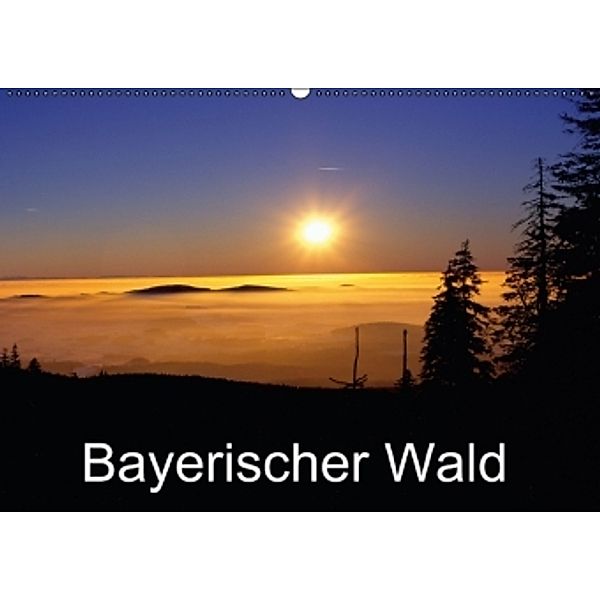 Bayerischer Wald (Wandkalender 2015 DIN A2 quer), Willy Matheisl