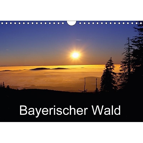Bayerischer Wald (Wandkalender 2017 DIN A4 quer), Willy Matheisl
