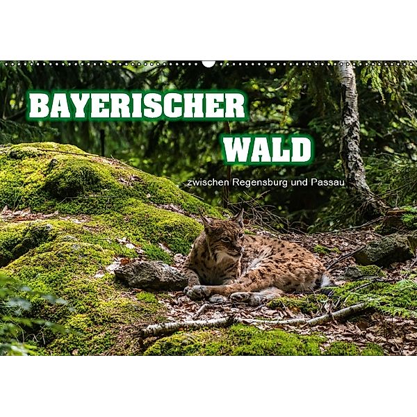 Bayerischer Wald (Wandkalender 2018 DIN A2 quer), Ralf-Udo Thiele