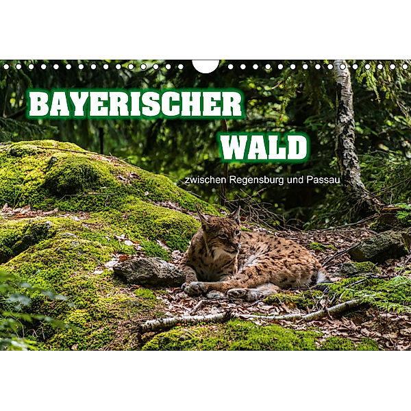 Bayerischer Wald (Wandkalender 2019 DIN A4 quer), Ralf-Udo Thiele