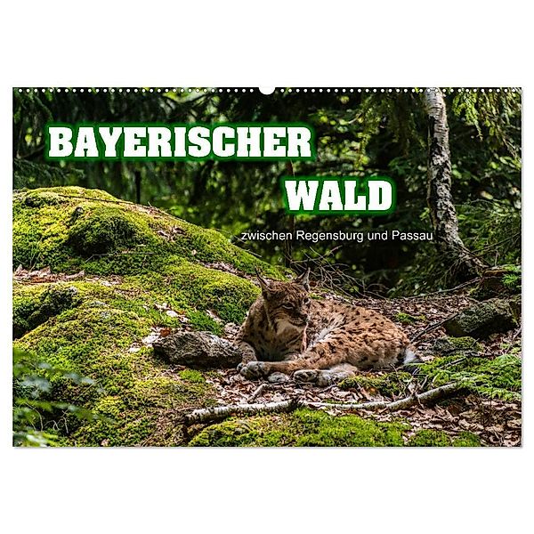 Bayerischer Wald (Wandkalender 2024 DIN A2 quer), CALVENDO Monatskalender, Ralf-Udo Thiele