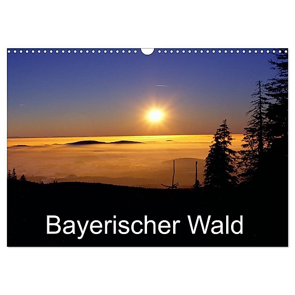 Bayerischer Wald (Wandkalender 2024 DIN A3 quer), CALVENDO Monatskalender, Willy Matheisl