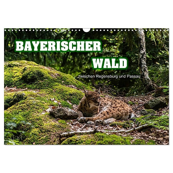 Bayerischer Wald (Wandkalender 2024 DIN A3 quer), CALVENDO Monatskalender, Ralf-Udo Thiele