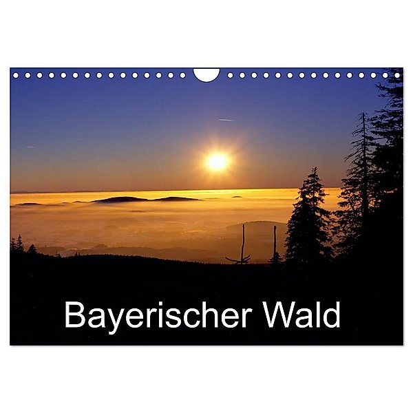 Bayerischer Wald (Wandkalender 2024 DIN A4 quer), CALVENDO Monatskalender, Willy Matheisl