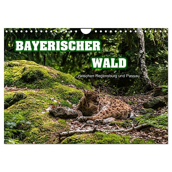 Bayerischer Wald (Wandkalender 2024 DIN A4 quer), CALVENDO Monatskalender, Ralf-Udo Thiele
