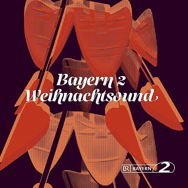 Bayern 2 Weihnachtsound (Vinyl), Diverse Interpreten