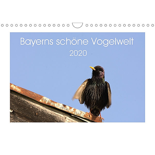 Bayerns schöne Vogelwelt (Wandkalender 2020 DIN A4 quer), Kevin Andreas Lederle