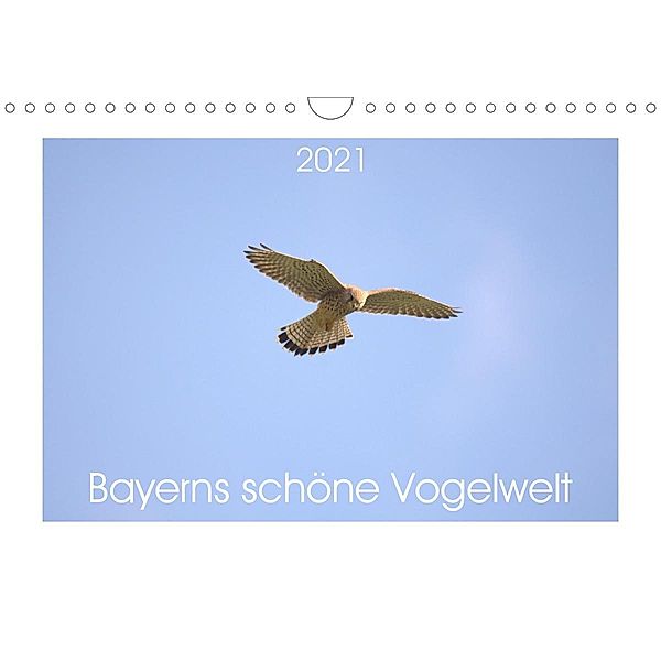 Bayerns schöne Vogelwelt (Wandkalender 2021 DIN A4 quer), Kevin Andreas Lederle