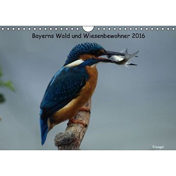 Bayerns Wald und Wiesenbewohner 2016 (Wandkalender 2016 DIN A4 quer), Winfried Erlwein