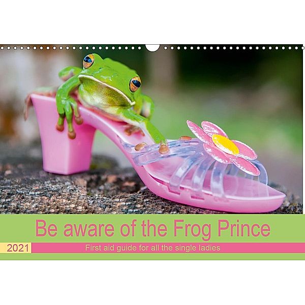 Be aware of the Frog Prince (Wall Calendar 2021 DIN A3 Landscape)