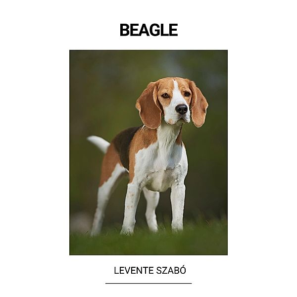 Beagle, Levente Szabó