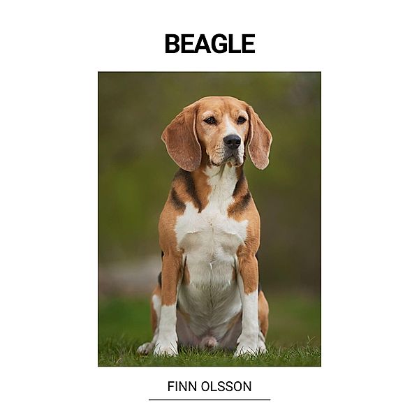 Beagle, Finn Olsson