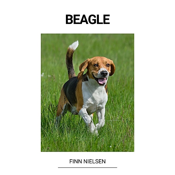 Beagle, Finn Nielsen