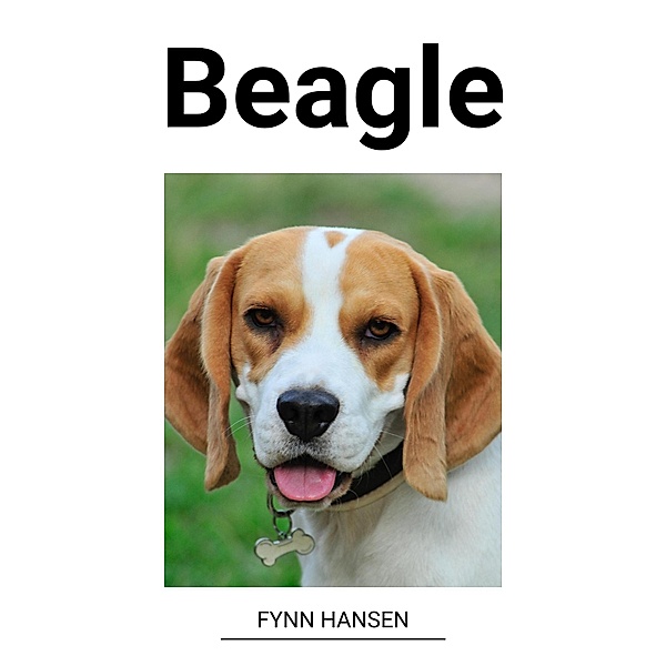 Beagle, Fynn Hansen