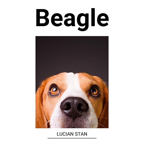Beagle, Lucian Stan