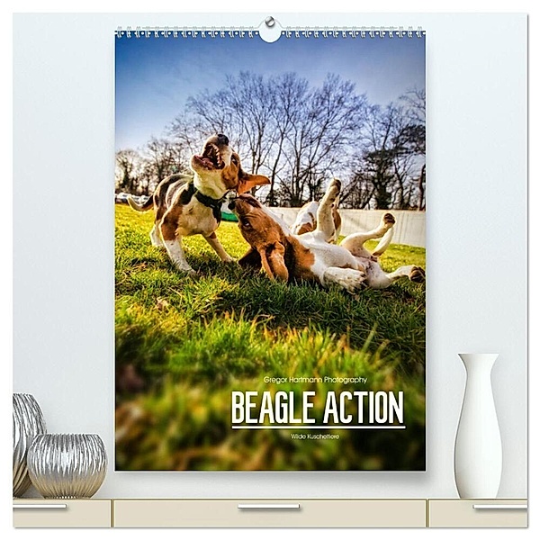 Beagle Action - Wilde Kuscheltiere (hochwertiger Premium Wandkalender 2024 DIN A2 hoch), Kunstdruck in Hochglanz, Gregor Hartmann