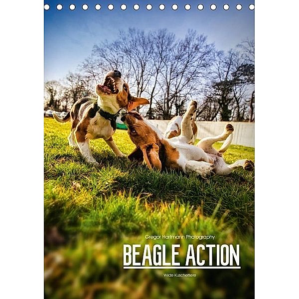Beagle Action - Wilde Kuscheltiere (Tischkalender 2017 DIN A5 hoch), Gregor Hartmann